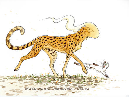 Cheetah Cheetah