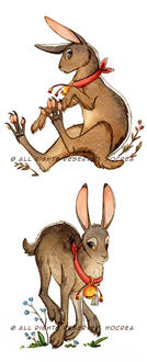 Rabbits Rabbits