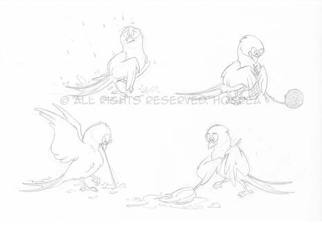 Bird Bird