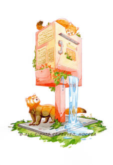 Red pandas Red pandas