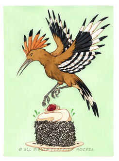 Hoopoe Hoopoe