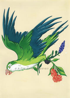 Parakeet Parakeet