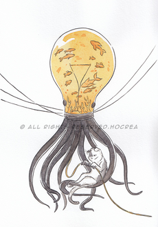 Light Light