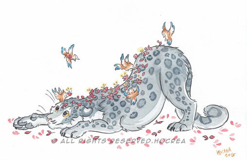 Snow leopard Snow leopard