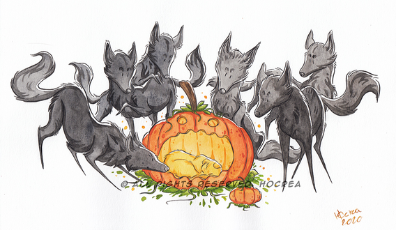 Pumpkin Pumpkin