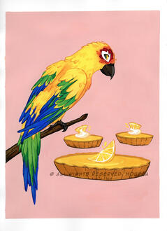 Parrot Parrot