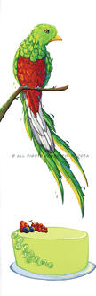 Paradise bird Paradise bird