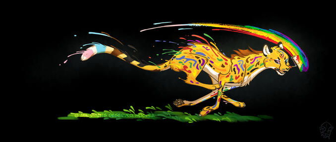 Pride cheetah Pride cheetah