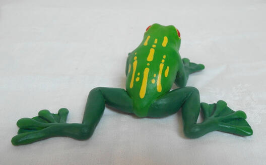 Frog 2 Frog 2