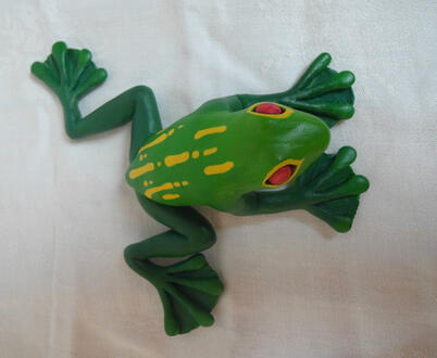 Frog 1 Frog 1